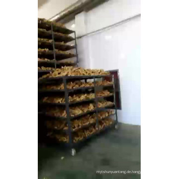 Chinesischer luftgetrockneter frischer Ingwer